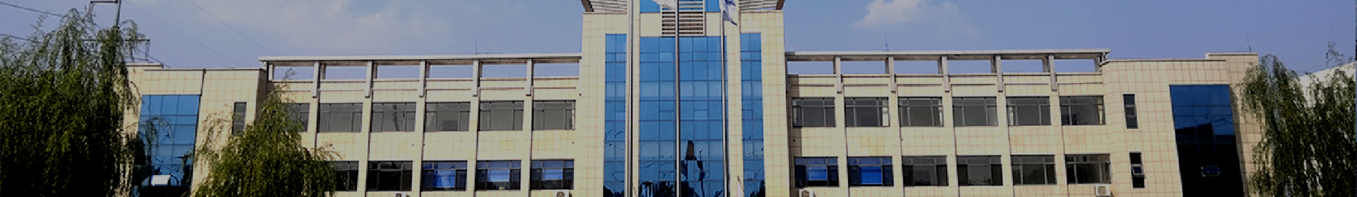نبذة عن الشركة